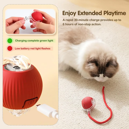 FreshPawsAir - Smart Chase Pet Toy Ball